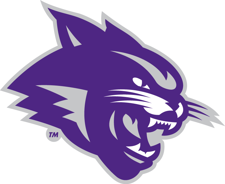 Abilene Christian Wildcats 2013-Pres Partial Logo iron on transfers for fabric